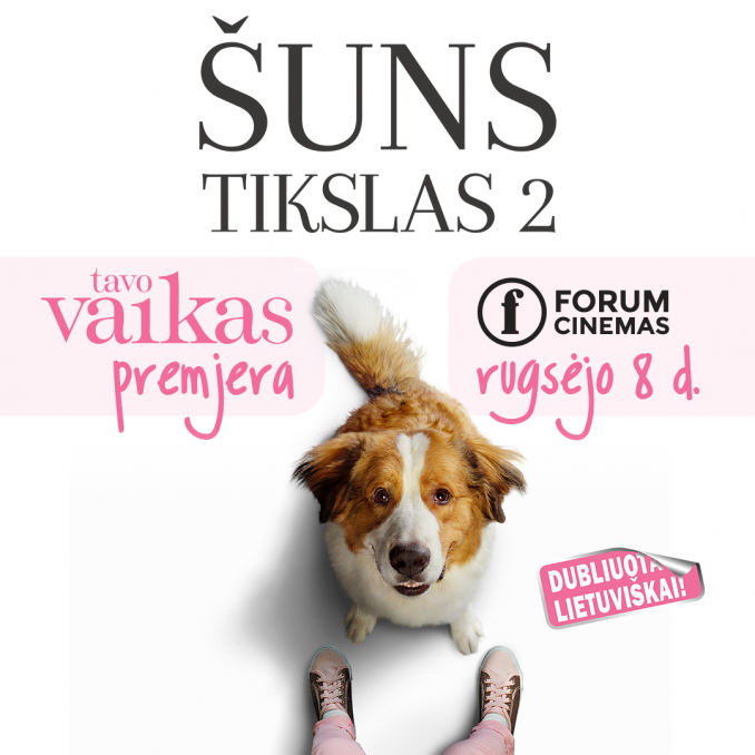 ŠUNS TIKSLAS 2